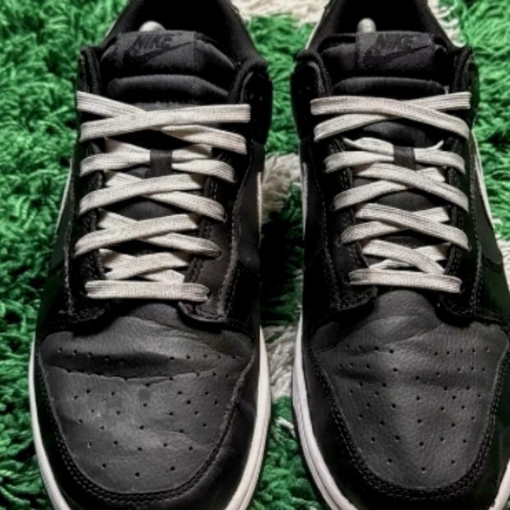Nike Dunk Sneakers